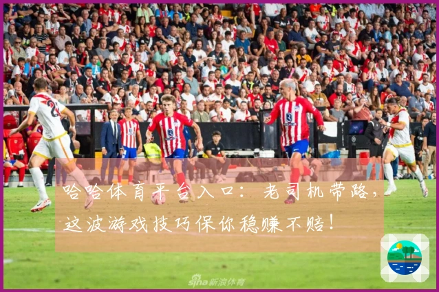 哈哈体育平台入口：老司机带路，这波游戏技巧保你稳赚不赔！
